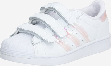 ADIDAS ORIGINALS Trainers 'Superstar' in White: front