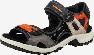 ECCO Sandals in Mixed colors: front