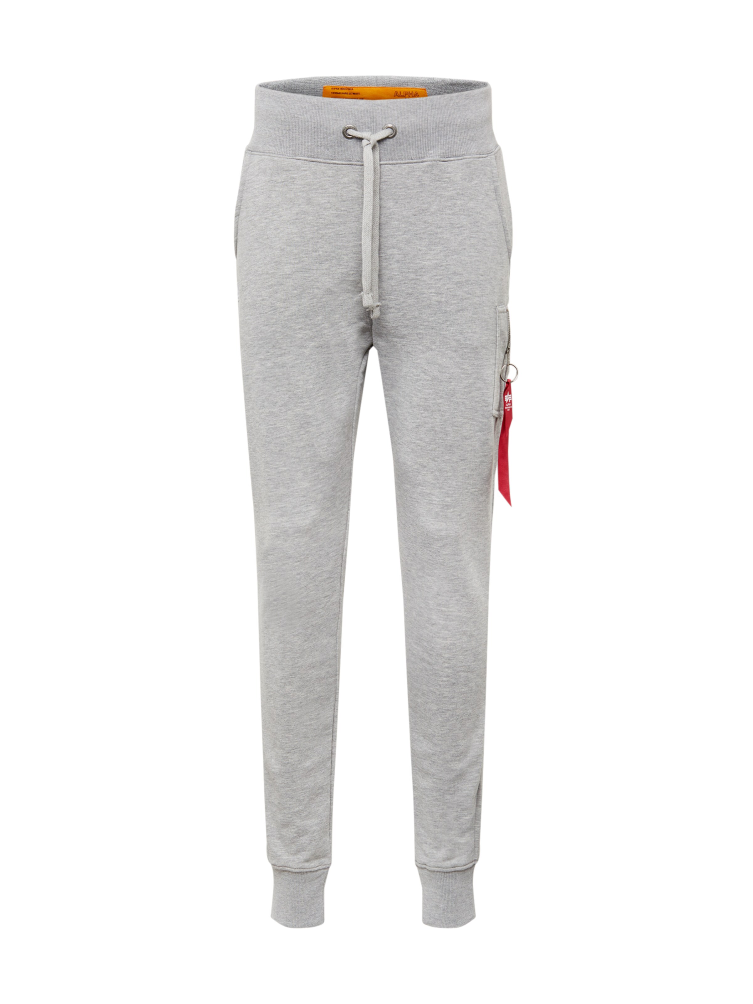 ALPHA INDUSTRIES Tapered Hose in Grau: Vorderseite