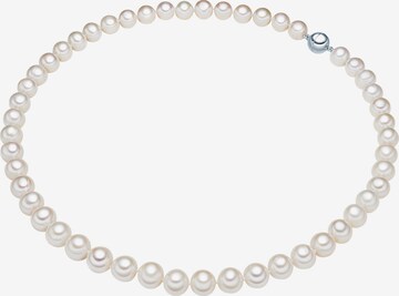 Valero Pearls Necklace in White: front