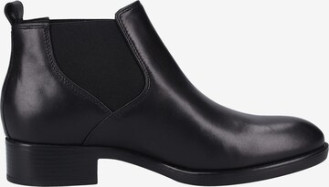 GEOX Chelsea boots 'Felicity' in Zwart