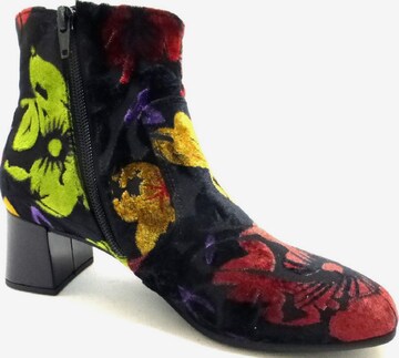 GABOR Ankle Boots in Mixed colors