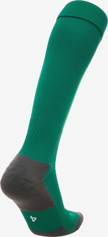 PUMA Soccer Socks 'Team Liga' in Green