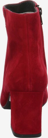 Paul Green Stiefel in Rot