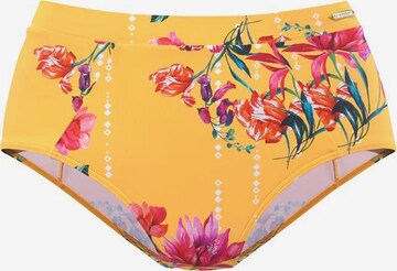 Pantaloncini per bikini di SUNSEEKER in giallo: frontale