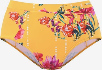 SUNSEEKER - Cueca biquíni em amarelo: frente