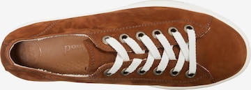 Paul Green Sneakers in Brown