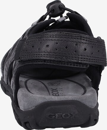 GEOX Hiking Sandals 'Strada' in Black