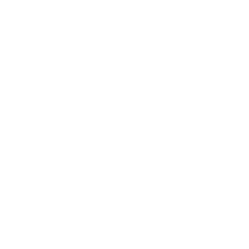 Steelwear Logo