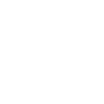 !Solid Logo