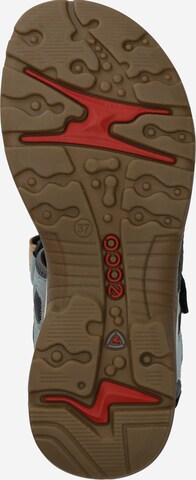 ECCO Wandelsandalen 'Offroad' in Gemengde kleuren