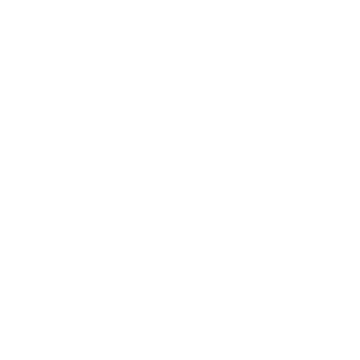 PRIMIGI Logo