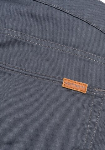 Carhartt WIP Szabványos Nadrág 'Vicious' - szürke