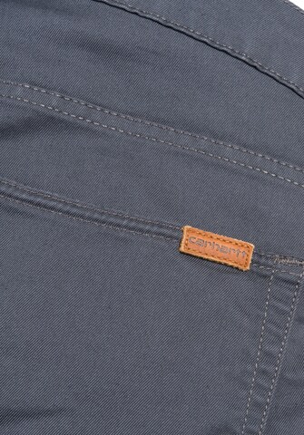 Carhartt WIP Tapered Jeans 'Vicious' in Grau