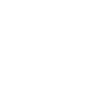 Women' Secret Logo