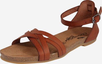 COSMOS COMFORT Strap Sandals in Brown: front