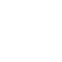 SAVE THE DUCK