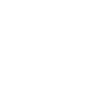 SAVE THE DUCK Logo