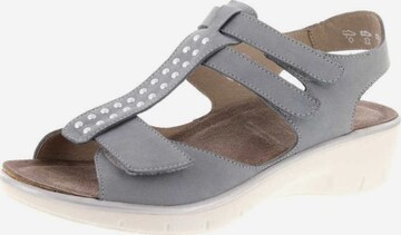 SOLIDUS Sandals in Grey: front