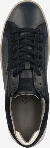 GEOX Sneaker in Blau