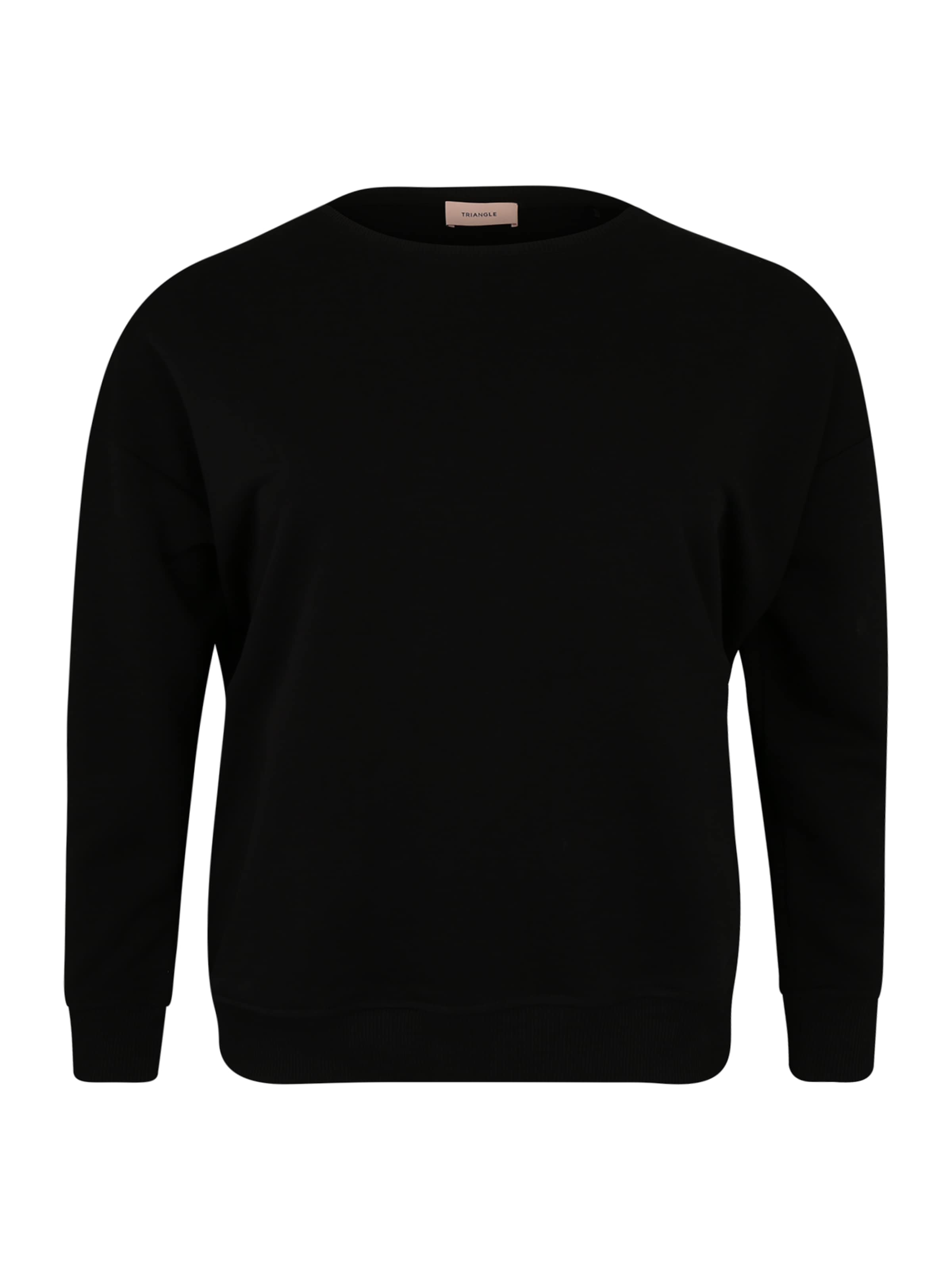 TRIANGLE - Sweatshirt in de kleur Zwart