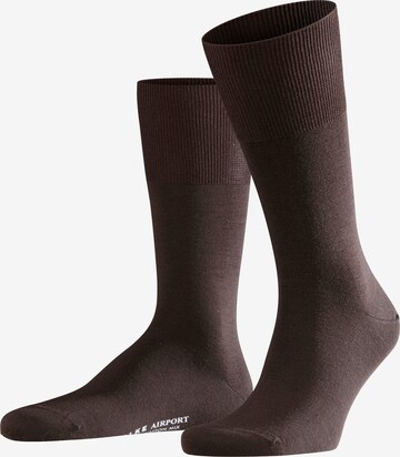 Chaussettes 'Airport' FALKE en marron : devant