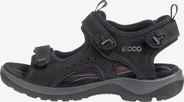 ECCO Wandelsandalen 'Offroad' in Zwart