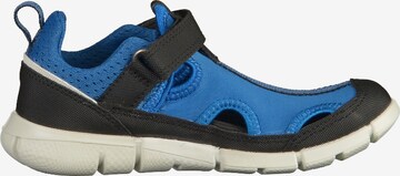 ECCO Lage schoen in Blauw