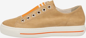 Paul Green Sneaker in Braun