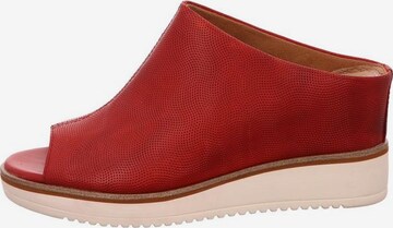 TAMARIS Pantolette in Rot