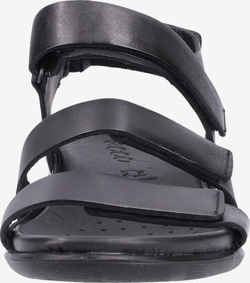 ECCO Sandalen met riem 'Flash' in Zwart