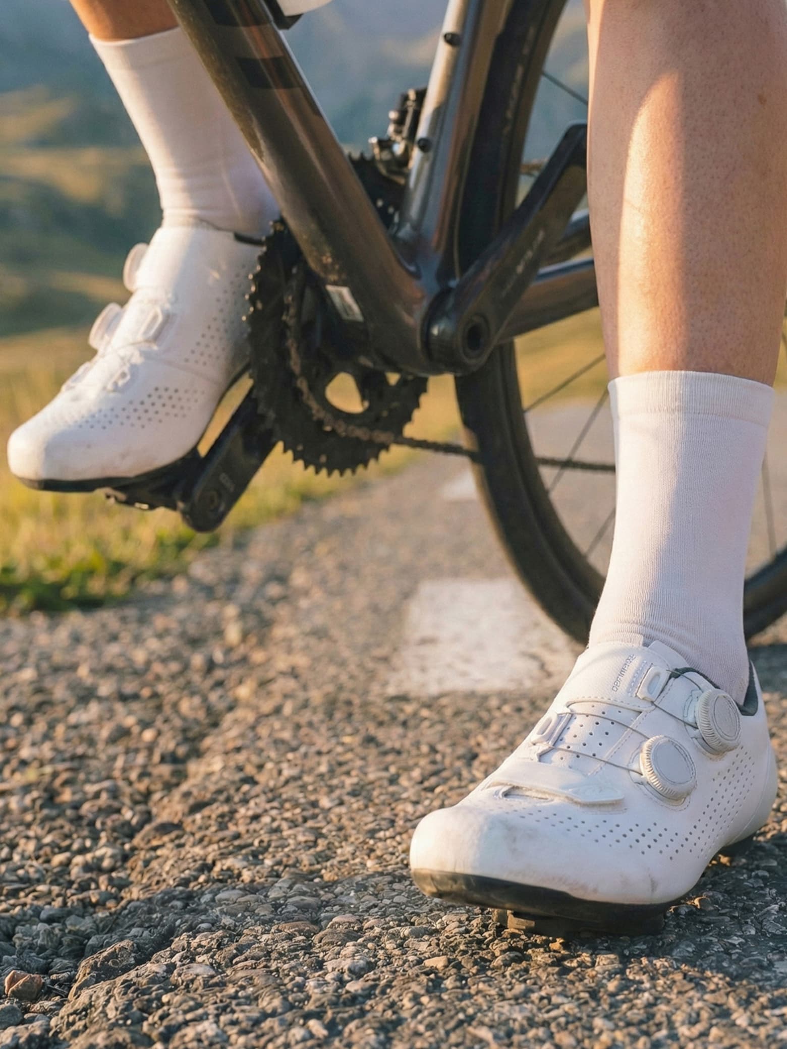 Performance pieces made to move Pedal Power