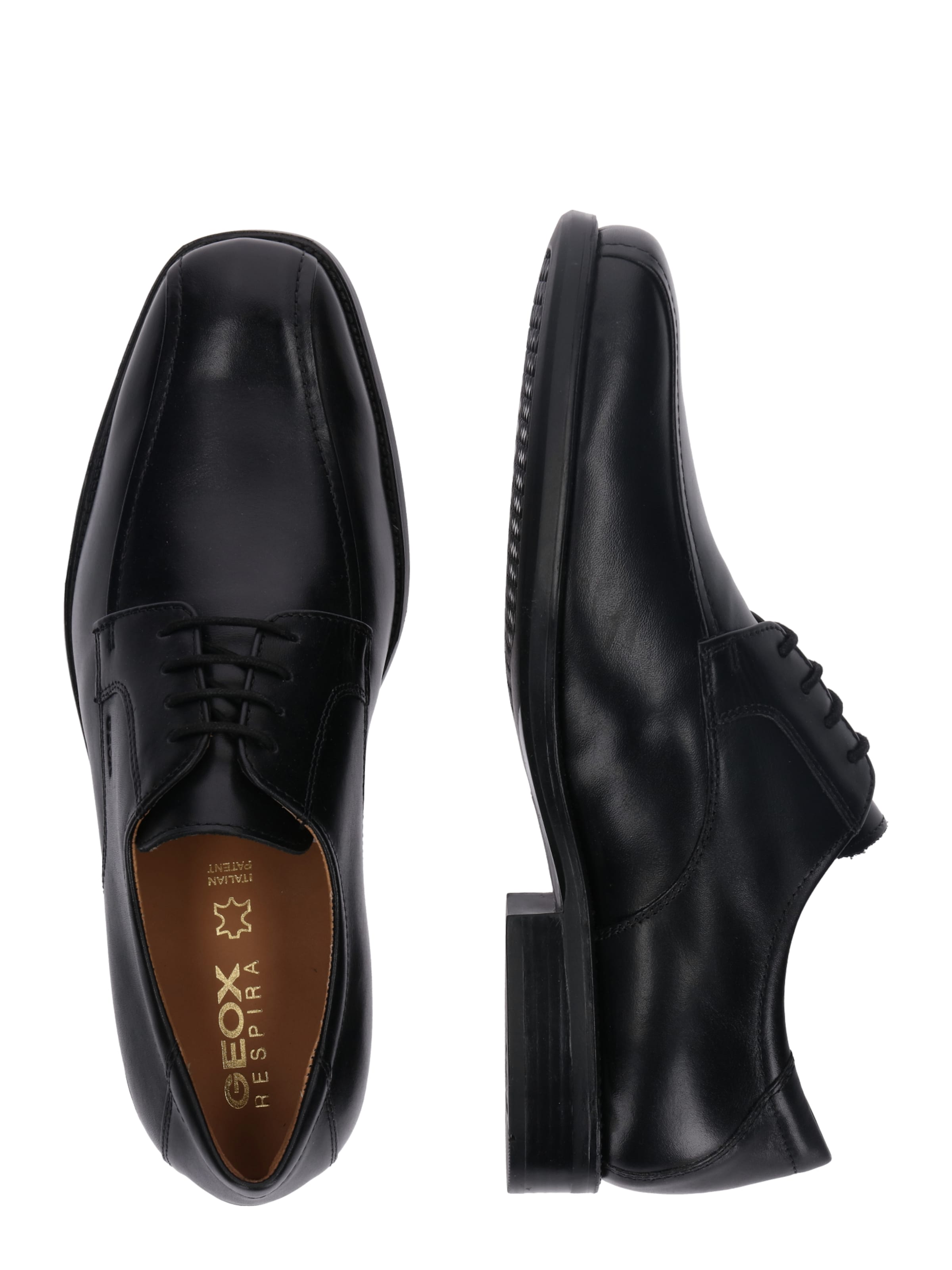 GEOX Knytsko 'Federico' i svart: sida