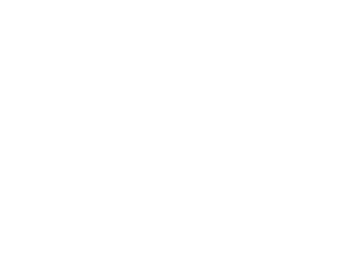 thies Logo