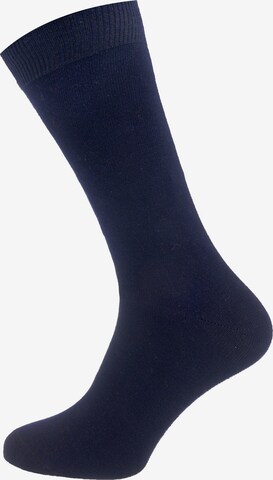 camano Socks in Blue: front