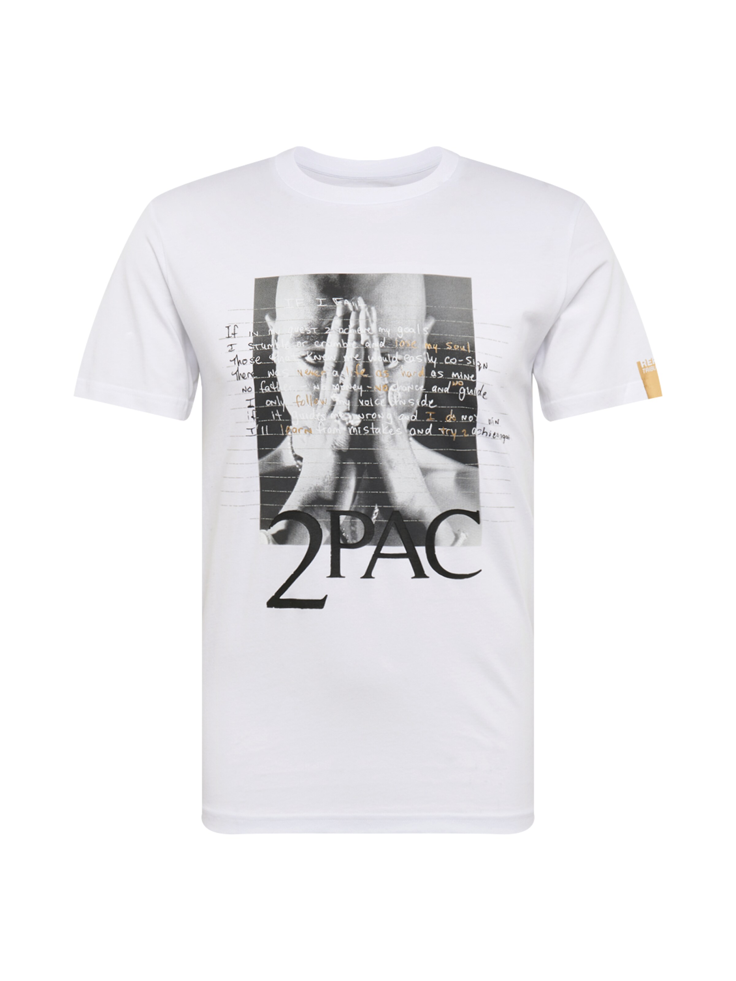 REPLAY - Shirt in de kleur Wit