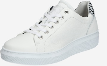 BULLBOXER Sneakers laag in Wit: voorkant