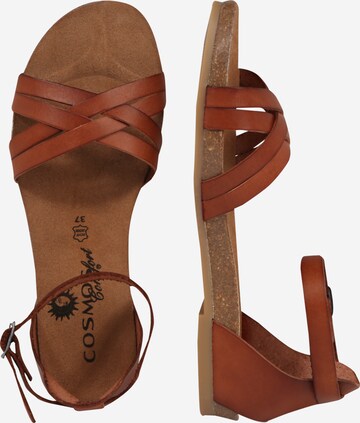 COSMOS COMFORT Strap sandal in Brown