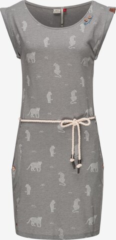Ragwear Jerseykleid ' Tag Tiger ' in Grau: predná strana