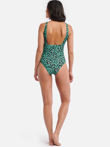 Shiwi Regular Swimsuit in Green