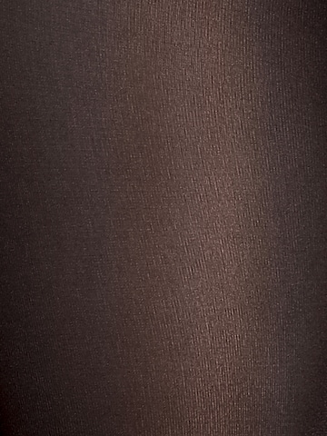 regular Calzamaglia 'Velvet de Luxe 66 Comfort Tigh' di Wolford in nero