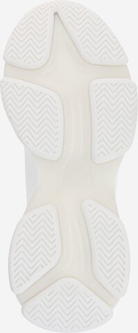 Baskets basses 'MATCH' STEVE MADDEN en blanc