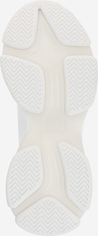 Baskets basses 'MATCH' STEVE MADDEN en blanc