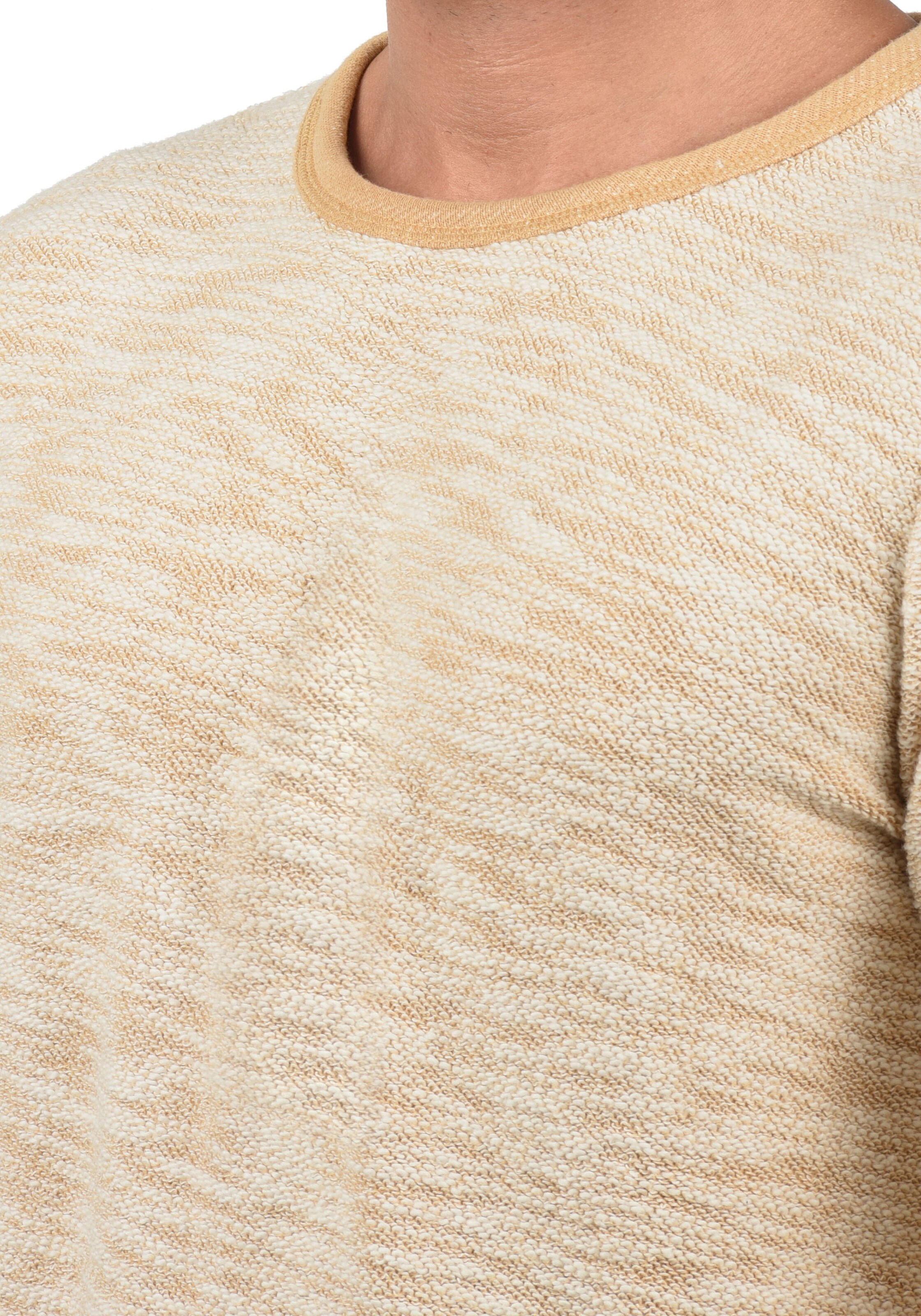 !Solid Sweatshirt 'SDFlocks' in Beige