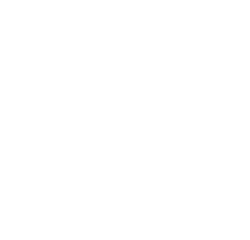 PETIT BATEAU Logo