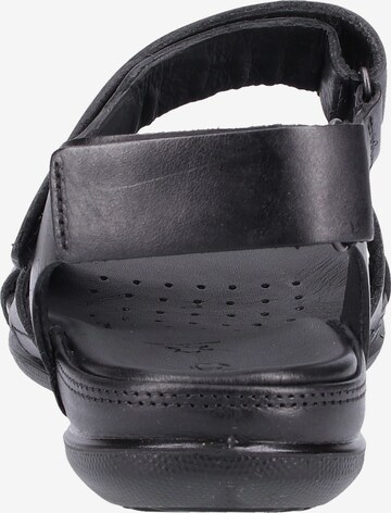 ECCO Strap Sandals 'Flash' in Black