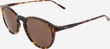 Polo Ralph Lauren Sunglasses in Brown