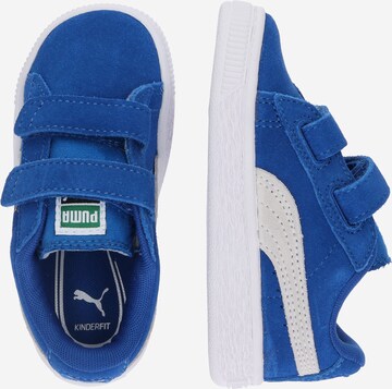 PUMA Sneakers 'Suede' in Blauw