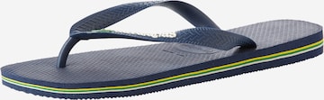 HAVAIANAS T-Bar Sandals 'BRASIL' in Blue: front