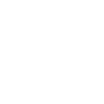 By Diess Collection Logo